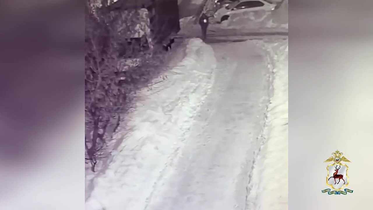 Мужчину, поджегшего автомобиль, задержали в Нижнем Новгороде