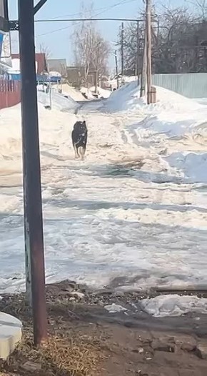 ��������� ���� ��������� ��-�� ��������� ������ �� ������� � ���������