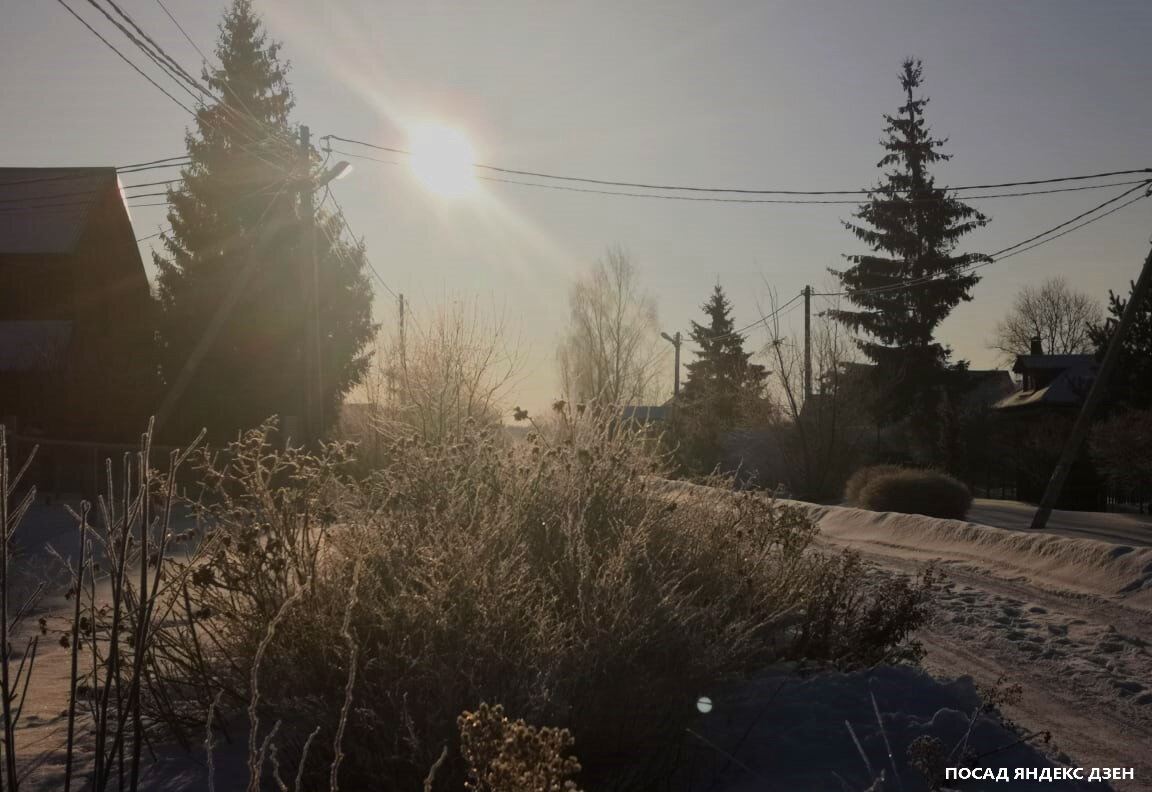 Как зимние морозы повлияли на лесной родник: история поиска воды