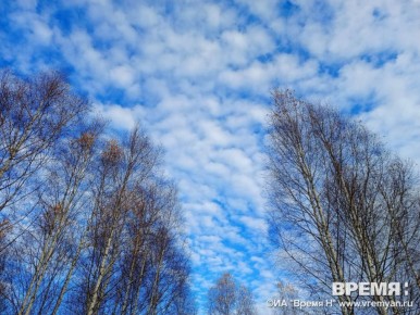 Более 500 нижегородцев освоили специальности в сфере беспилотной авиации в 2025 году