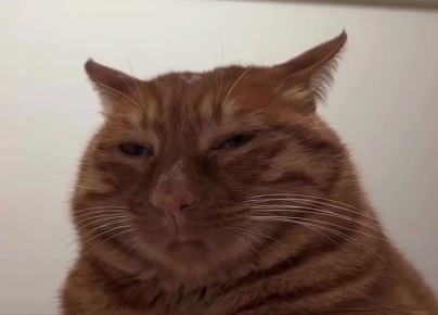 ����� ���������������� �������� ���