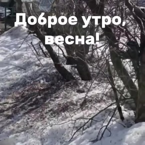 ������ ����, �����������!. ������� � ������ ����������� �������: �����