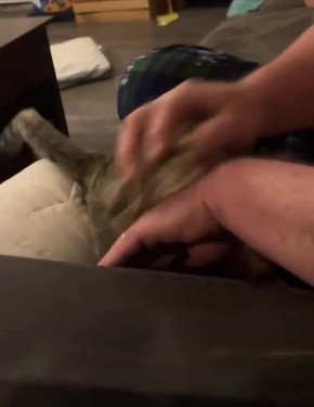 ������ ����!. ���������� �� ����� ����