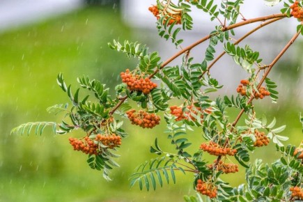 �������, ������� ������� ����� ������ ���� � ������� ����������