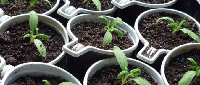 ��� ��������� ������� ������� ���������: ������ � ������������