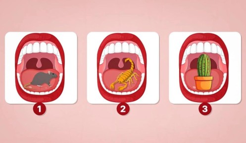 ���������� ���� ������� ������ � ������� �������� ���������������� �����