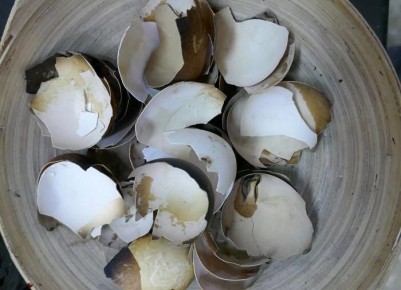 ����������� ���������: ������� ������������� ������� ������� ��� ������� ��������