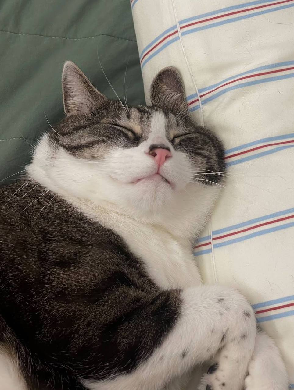 Прислать новость. Главные новости региона: VK | MAX