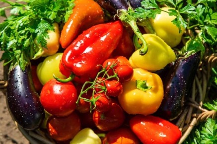 ���-27 ������ �������, ���������� � ������ �� ������� ���������