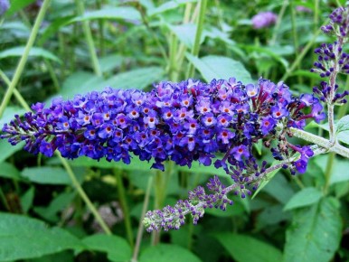 �������: ��������� ������� ������� ��� ������� ������� � ����������� ���������