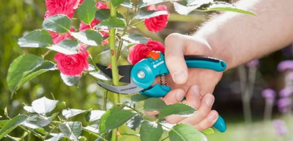 ��� ��������� ��������� � ������������� ���� � ����: ������ ���������