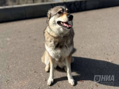 ��������� ������ ��� ����� ��������� ��� � ������ ����� � � ������ �����������, ����� ������ ���� � ����� ������������ �������� �� 5 ��������