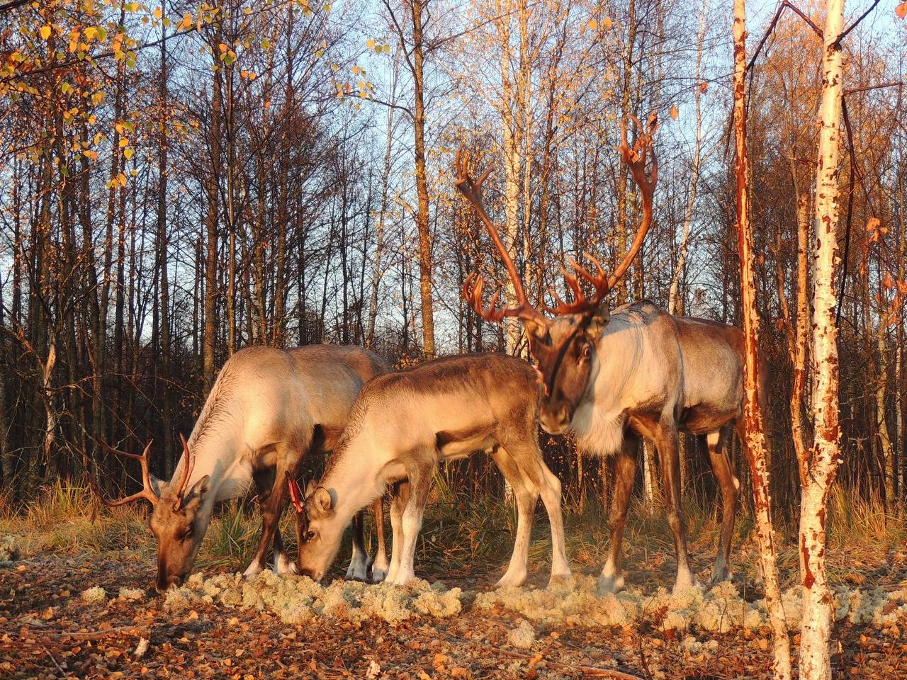 Глеб Никитин: Экологический туризм сегодня - одно из самых востребованных направлений путешествий по стране
