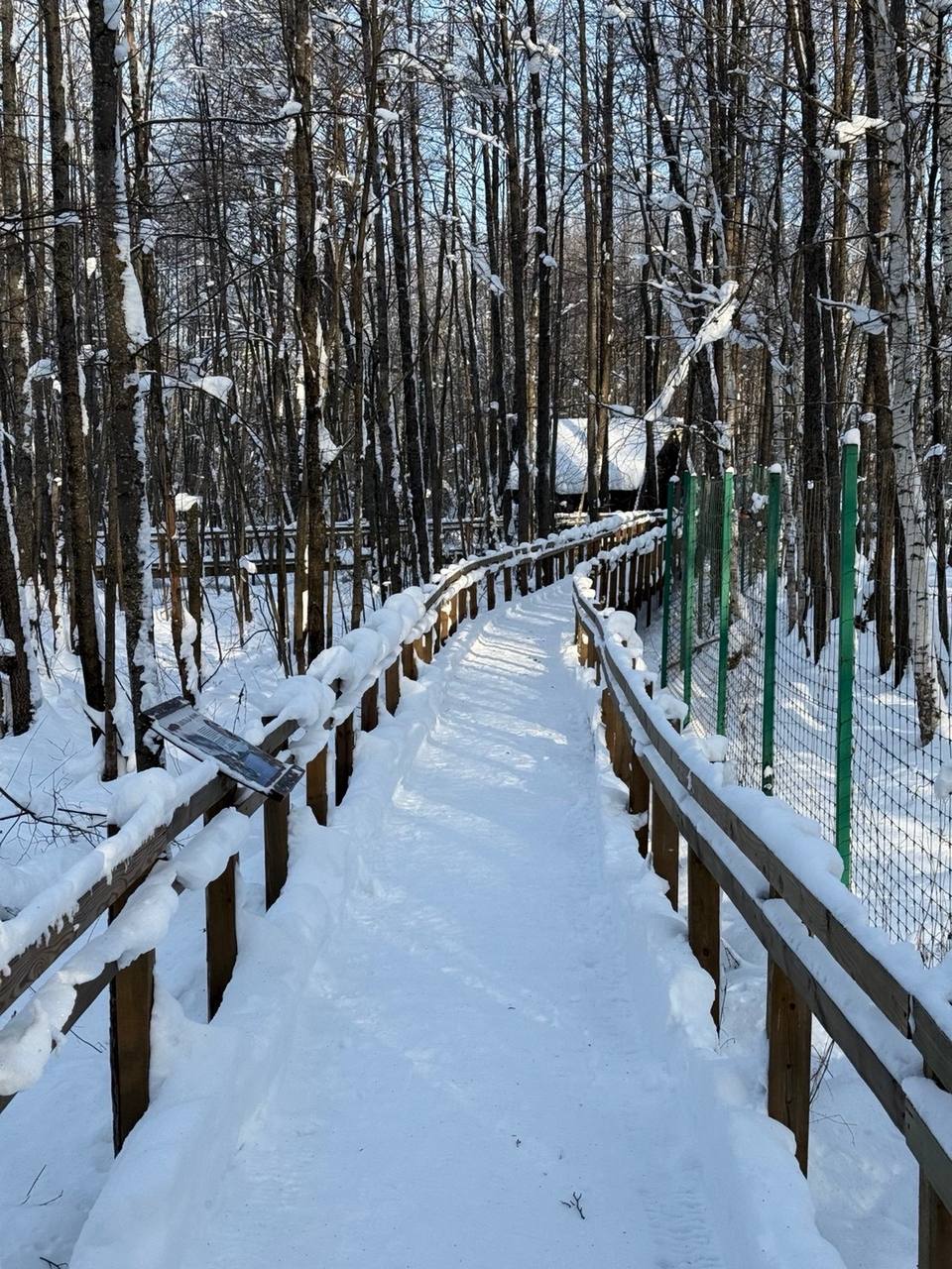Глеб Никитин: Экологический туризм сегодня - одно из самых востребованных направлений путешествий по стране Глеб Никитин: Экологический туризм сегодня - одно из самых востребованных направлений путешествий по стране