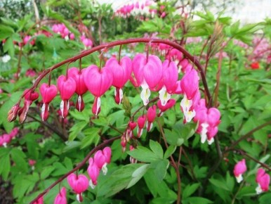 �������� ������������: ��� ����������� ������ � ����