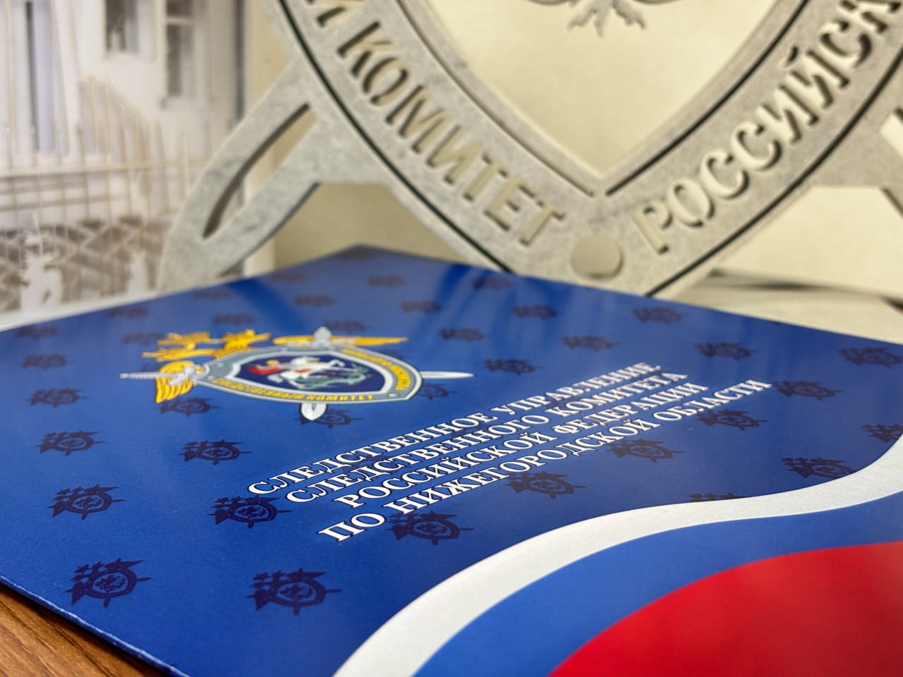 В Нижегородской области по сообщению из соцмедиа о падении снежных масс с крыши многоквартирного дома организована процессуальная проверка