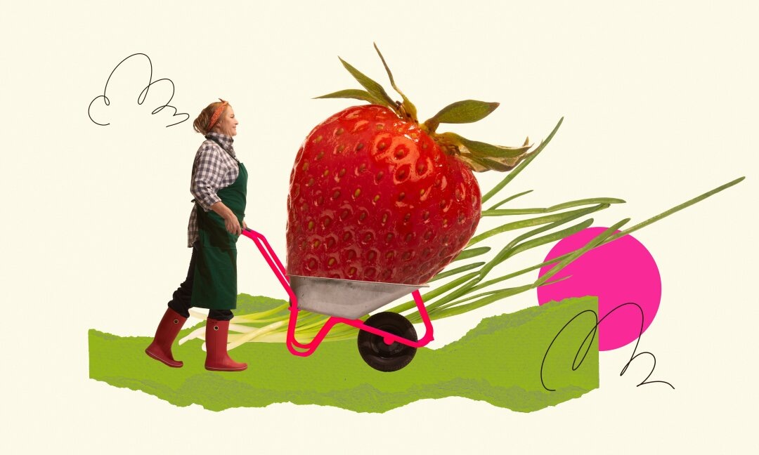 Как перейти на интуитивное питание и не бояться читмилов?