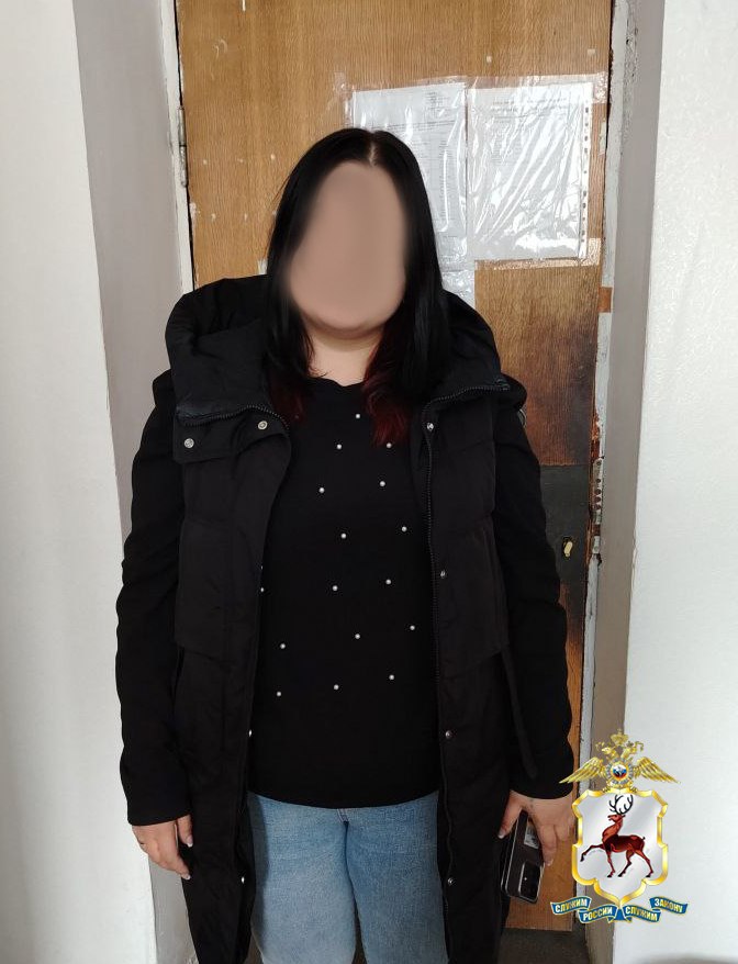 Нижнем Новгороде сотрудница маркетплейса за один день похитила товары на сумму почти 100 тысяч рублей