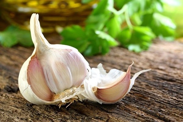 Чеснок: природный эликсир для здоровья и красоты