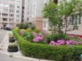 Клумба у подъезда: как сделать двор красивее и не попасть на штраф в 2026 году