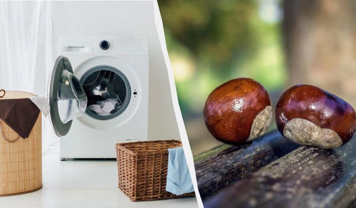 Стирка с каштанами: удивительное средство для вашего гардероба