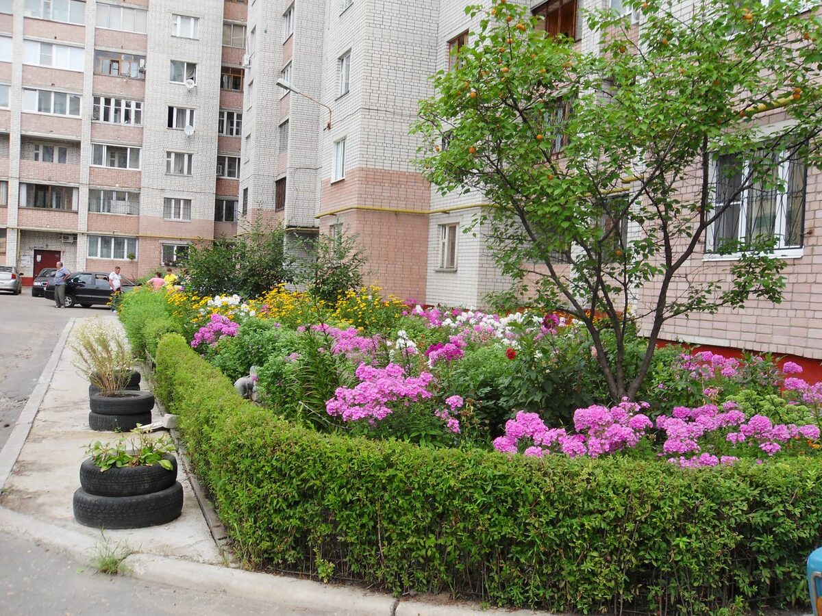 Клумба у подъезда: как сделать двор красивее и не попасть на штраф в 2026 году