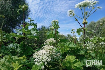 ������ ������� ����� �������� �������� � ������������� �������