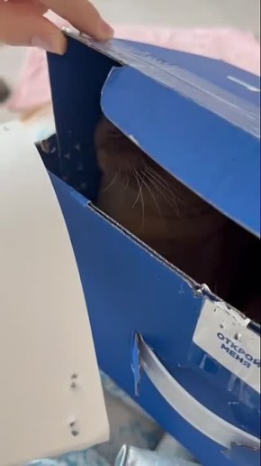 Доброе пятничное кусь!. Не забываем отправиться на работу