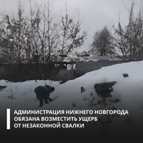 По материалам Росприроднадзора суд обязал администрацию Нижнего Новгорода компенсировать вред, причиненный почвам