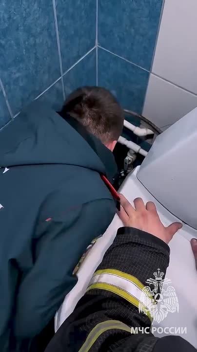 Питон застрял в ванной комнате в Богородске
