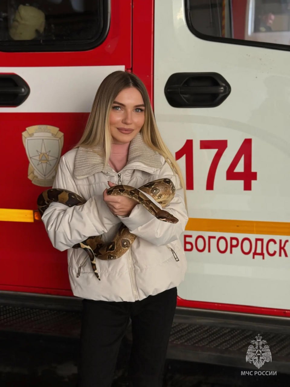 Питон застрял в ванной комнате в Богородске Питон застрял в ванной комнате в Богородске