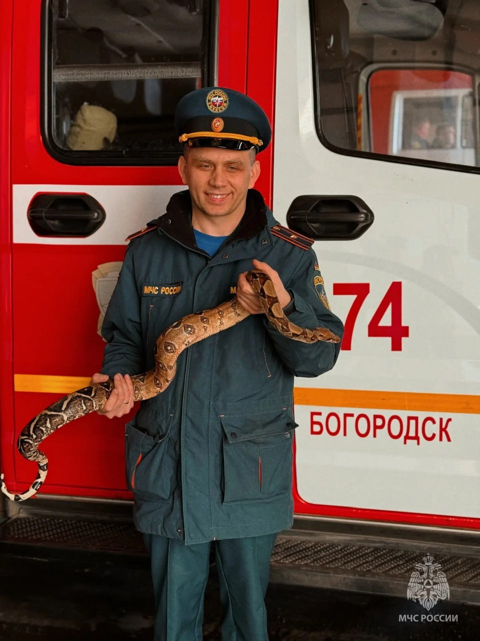 Питон застрял в ванной комнате в Богородске Питон застрял в ванной комнате в Богородске