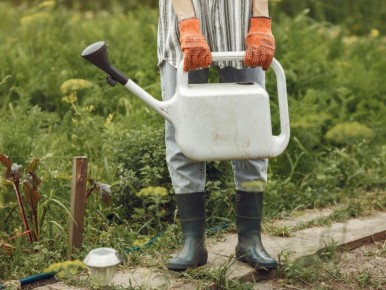 ��� �������� �������: ����������� �������� ������ ��� ������ ����