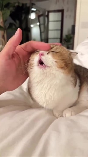 ���� �����! ������ ����� ���������� � ��������