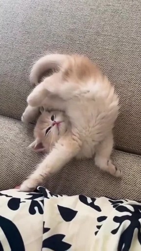 ������ ��������� ����!. ����������, ���������� � �����