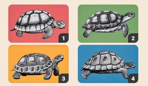 Тест на терпение: что выбирает ваш характер?