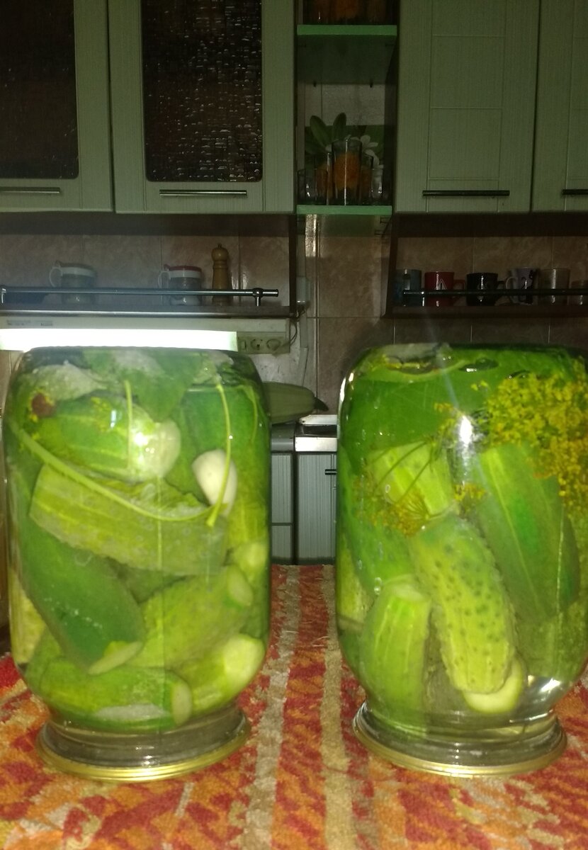 Как быстро замариновать огурчики: легкий и вкусный способ