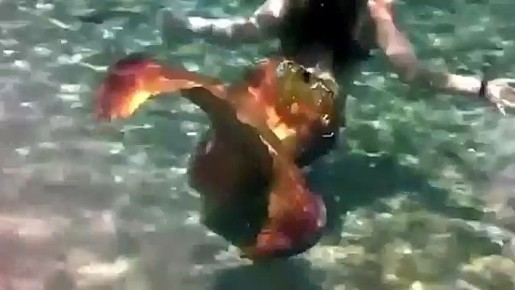 29 ����� ���������� �������������, �� ���������� �������� � ������������� ���� �������, ������������� � 2018 ����