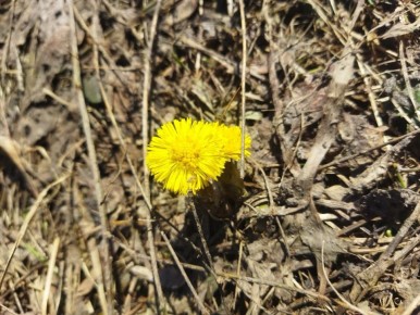 ����� ������� ������ � ����� ������ ����!