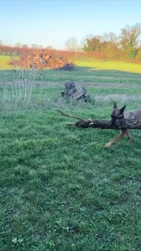 � ������� ����� ������� ������!