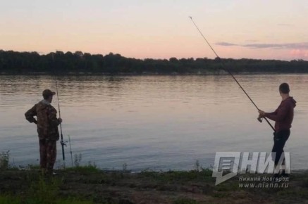 Внимание рыболовы!. С 1 апреля 2026 года в Нижегородской области вводятся ограничения на вылов рыбы в связи с началом нерестового периода