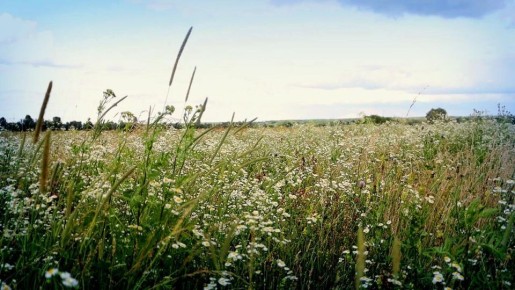 ��� ������ � ���������� ���������� �� �������� �� ����� �������