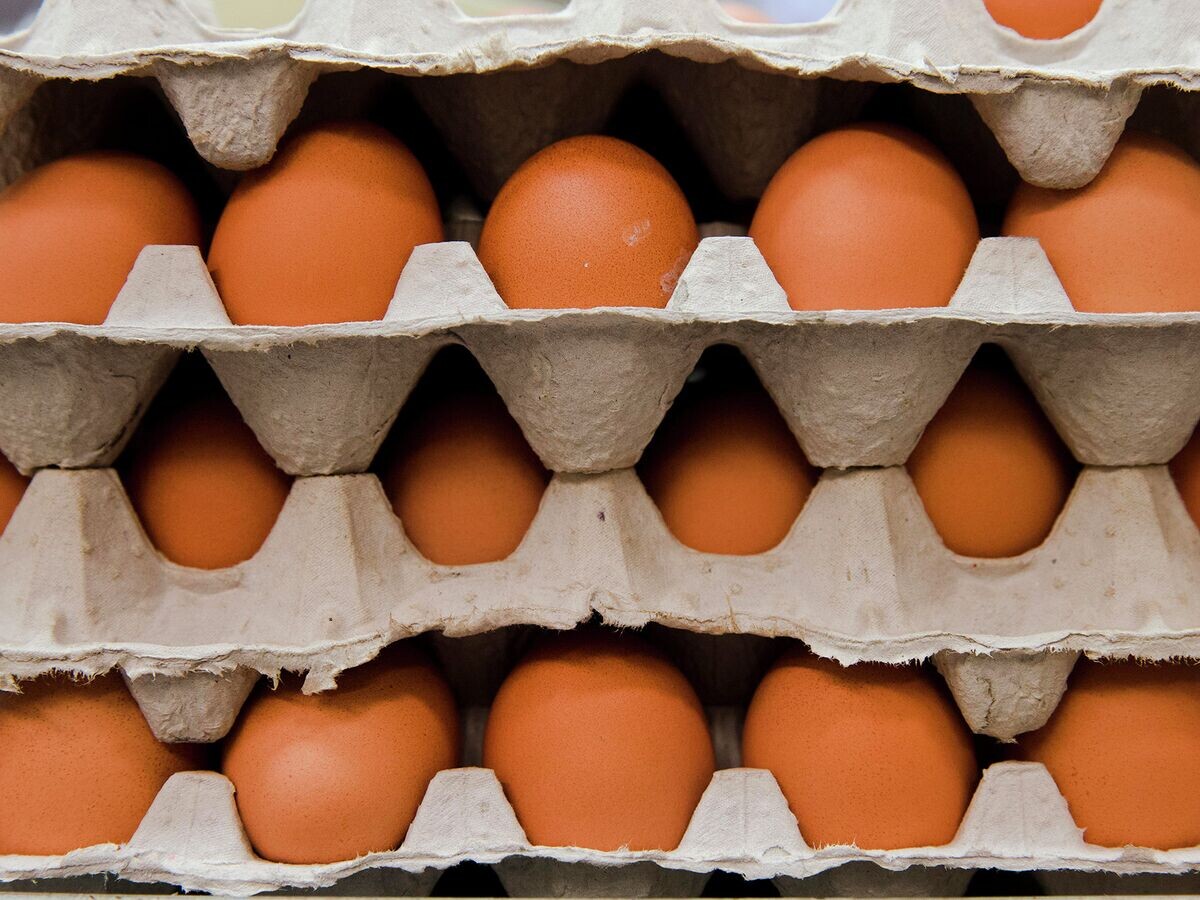 Как правильно готовить яйца: советы от нутрициолога