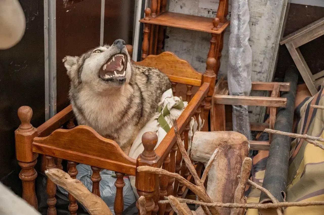 Михаил Развожаев: Севастопольский академический русский драматический театр имени А.В. Луначарского везет спектакль «Таня» на «Золотую маску» в Москву Михаил Развожаев: Севастопольский академический русский драматический театр имени А.В. Луначарского везет спектакль «Таня» на «Золотую маску» в Москву