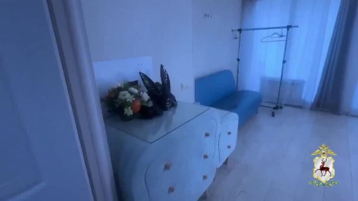 � ���������� ����������� �������� ������������ ���� ���������� ������-������