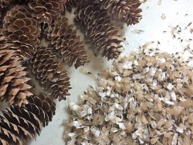 ����� 300 �� ����� ���������� � ������������� ������� ��� ������������������