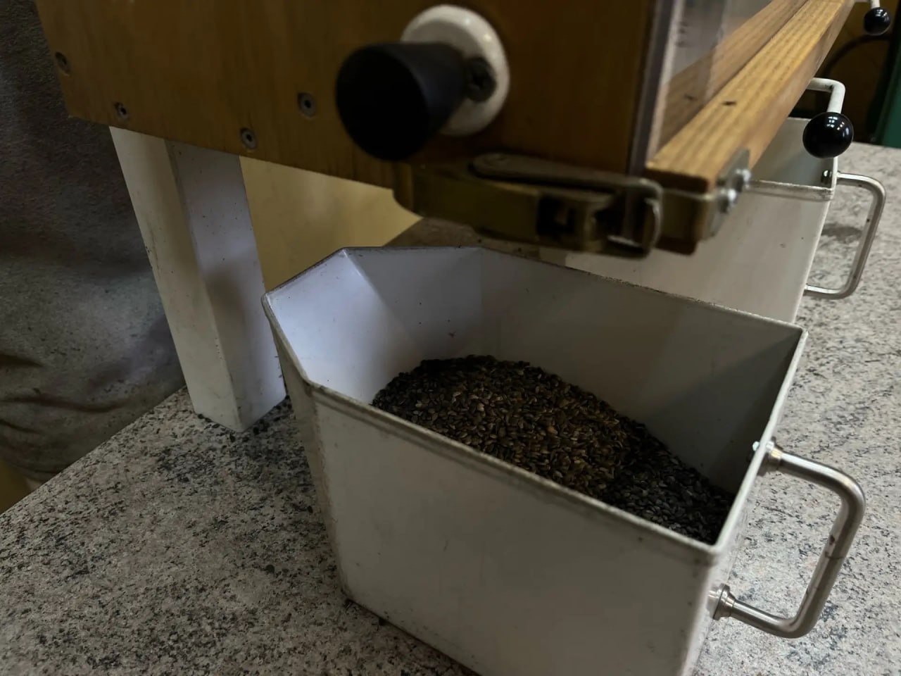 Более 300 кг семян заготовили в Нижегородской области для лесовосстановления Более 300 кг семян заготовили в Нижегородской области для лесовосстановления