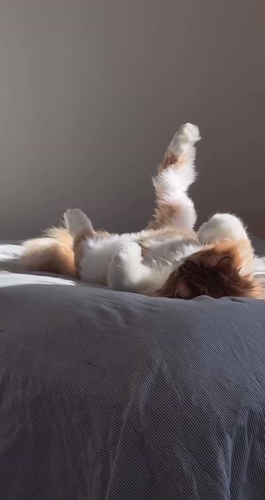 ������ ����, ������!. ����������� � ���� ���� � ������ ����