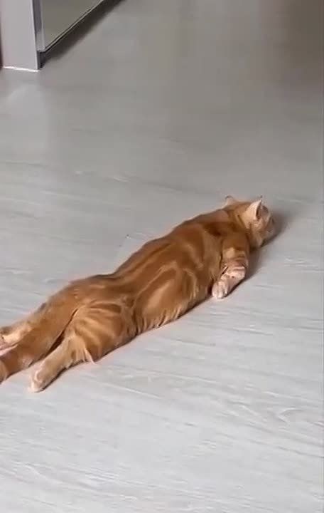 ��� �������� ��������� � ������� ����