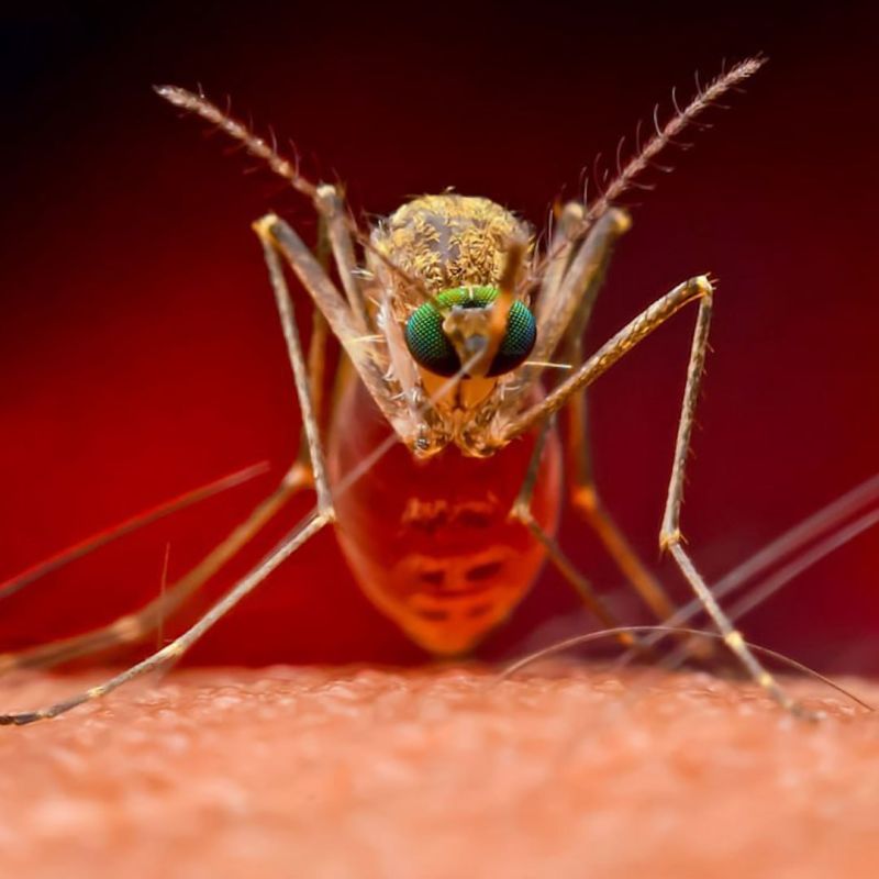 ������ ����� ���� ���������� ������� ������, ������� ����� � ������ � �����. ������� ��������� �������������� ��������� � ����������� �������� ������ � ��-�� ����������